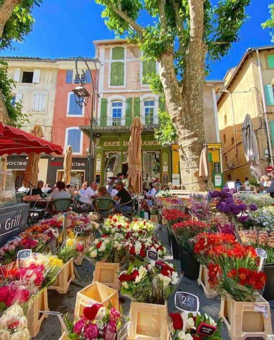 La Loge Familiale: 110M2, Place Rose Goudard, Ac LʼIsle-sur-la-Sorgue Dış mekan fotoğraf