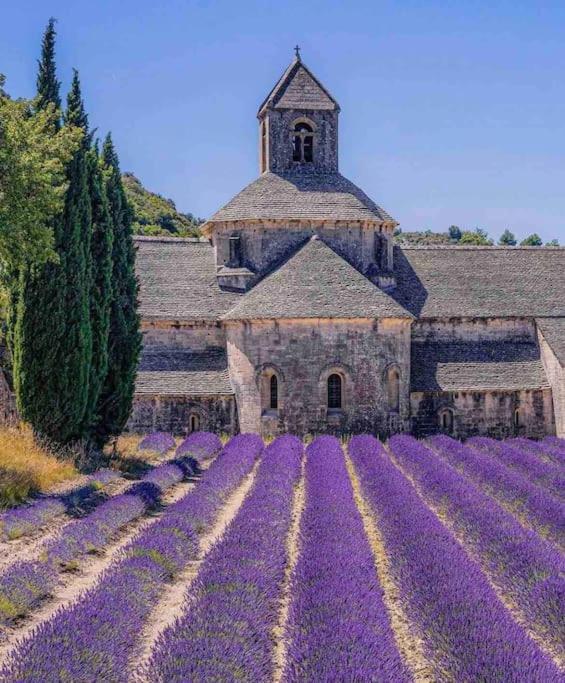 La Loge Familiale: 110M2, Place Rose Goudard, Ac LʼIsle-sur-la-Sorgue Dış mekan fotoğraf