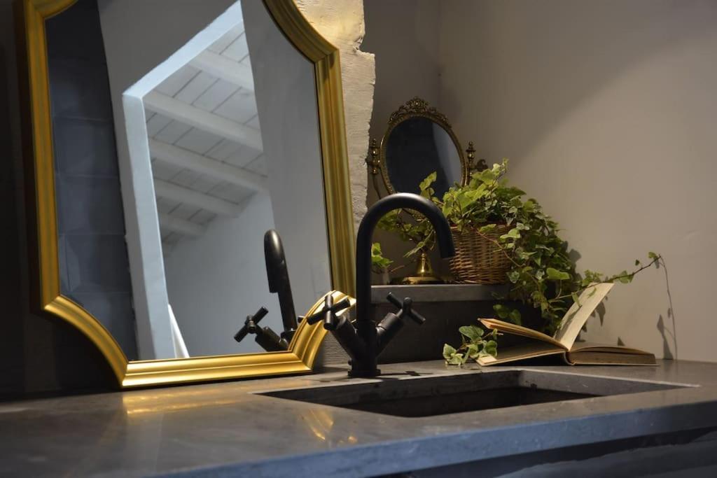 La Loge Familiale: 110M2, Place Rose Goudard, Ac LʼIsle-sur-la-Sorgue Dış mekan fotoğraf